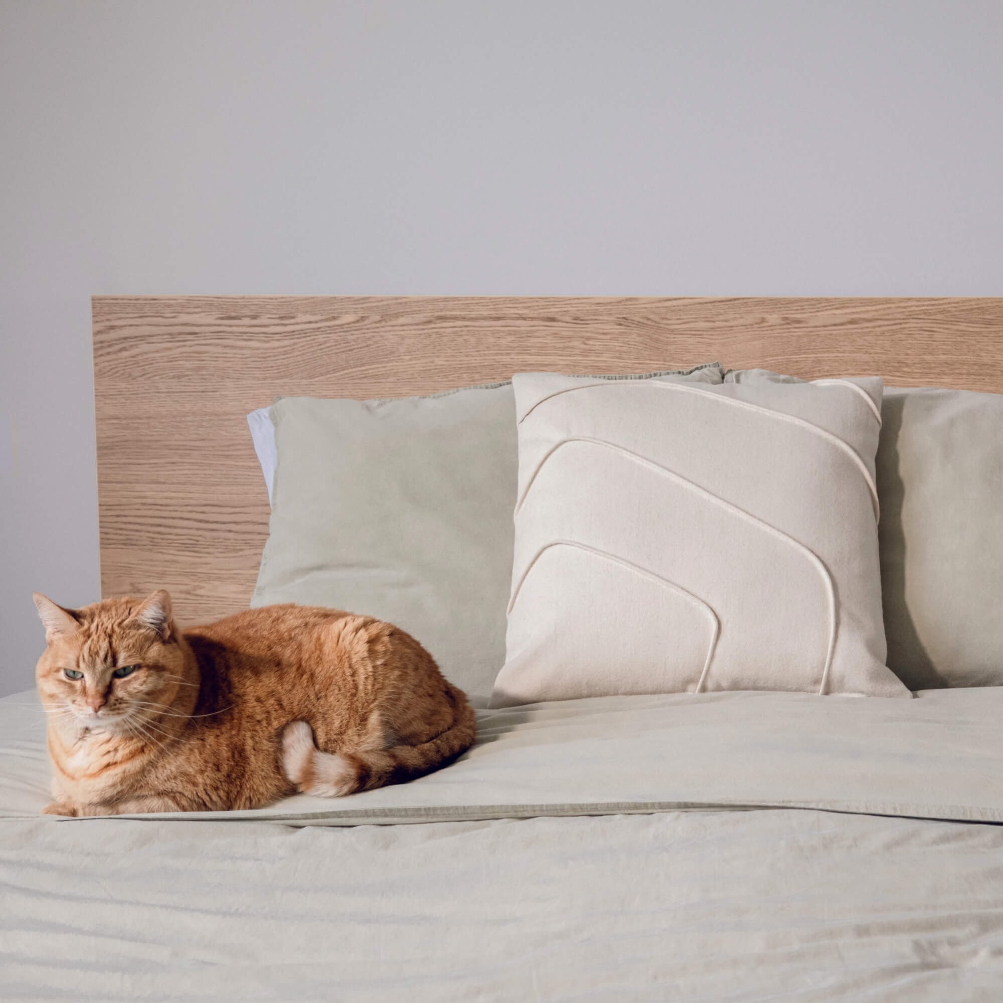 Decorative Cushion Mountain Rose 45 x 45 cm, 100% Sheep's Wool